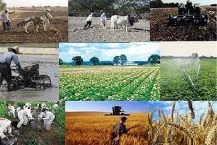قیمت پیشنهادی خرید تضمینی انواع محصول در سال زراعی ۹۷-۹۶ منتشر شد