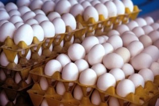 تخم‌مرغ ۶ درصد گران می‌شود/ممنوعیت صادرات کالاهای اساسی